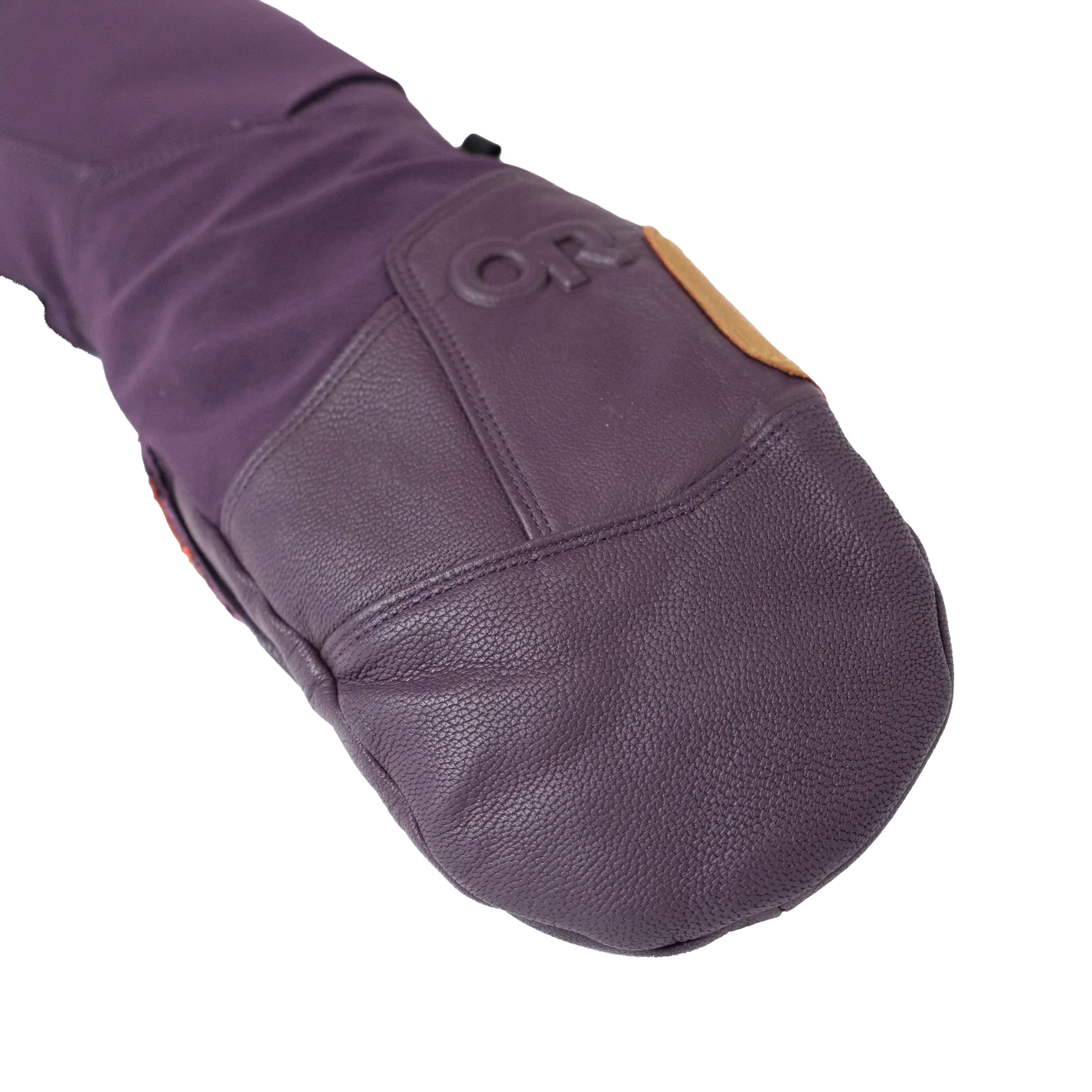 Team Gore-Tex Mitts