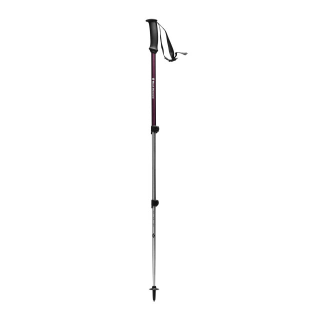 Trail Explorer 3 Trek Poles