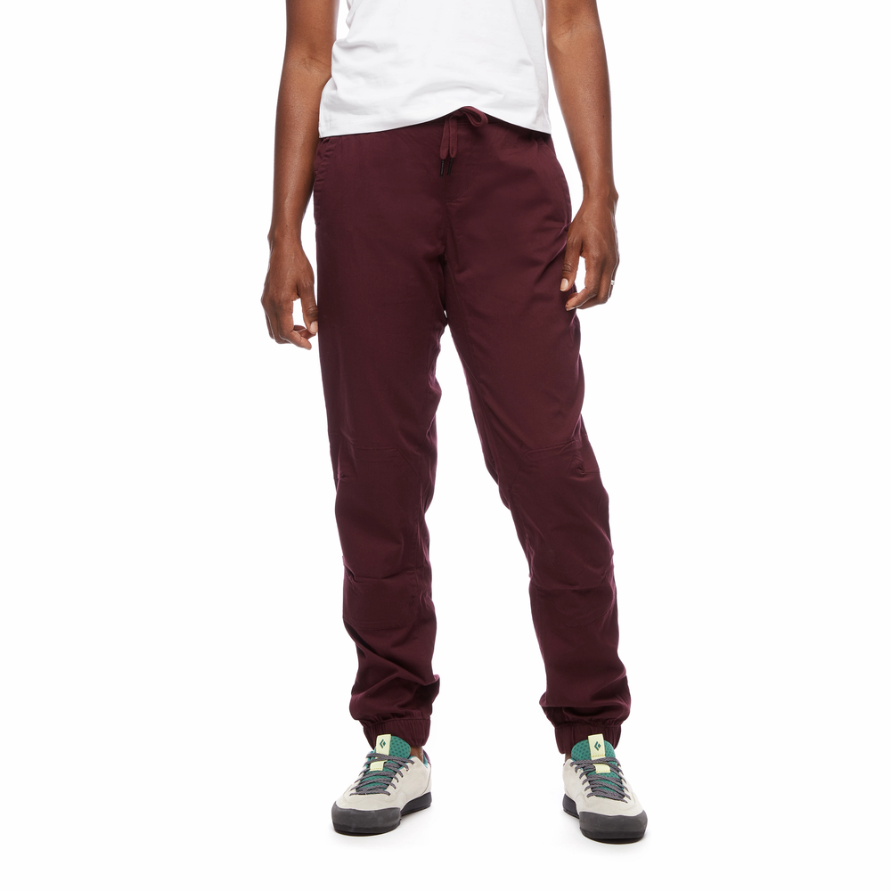 Women's Notion Pants