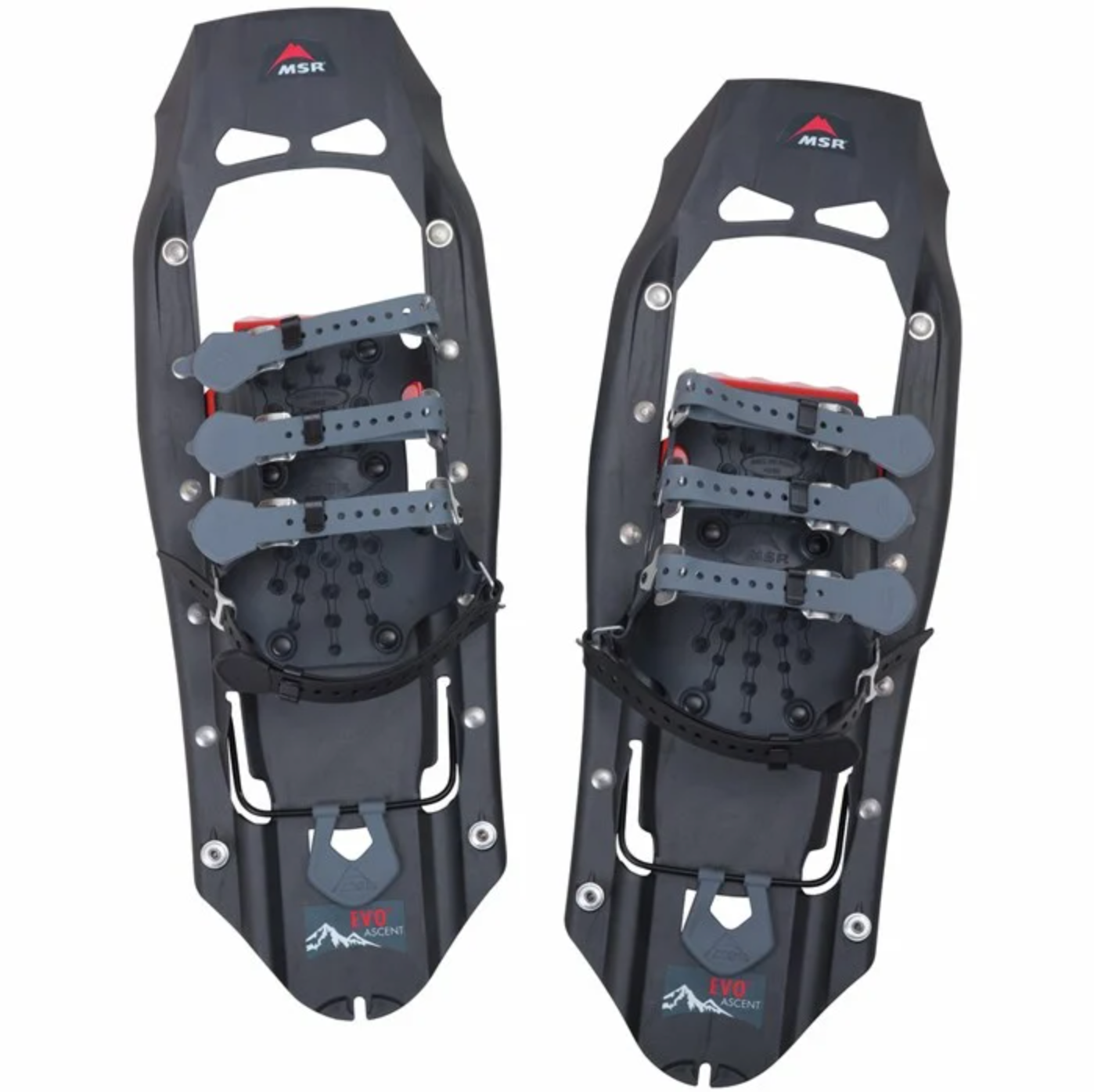 Evo Ascent Snowshoes