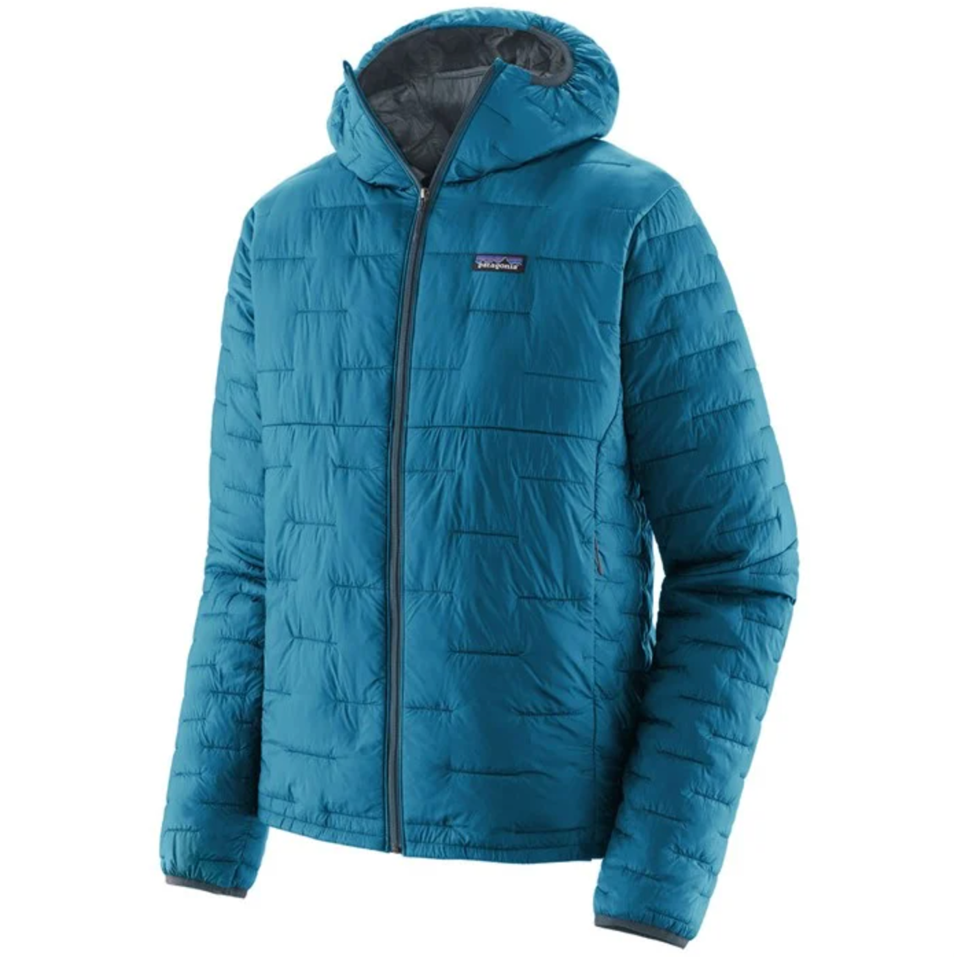 Patagonia hooded micro puff jacket hotsell