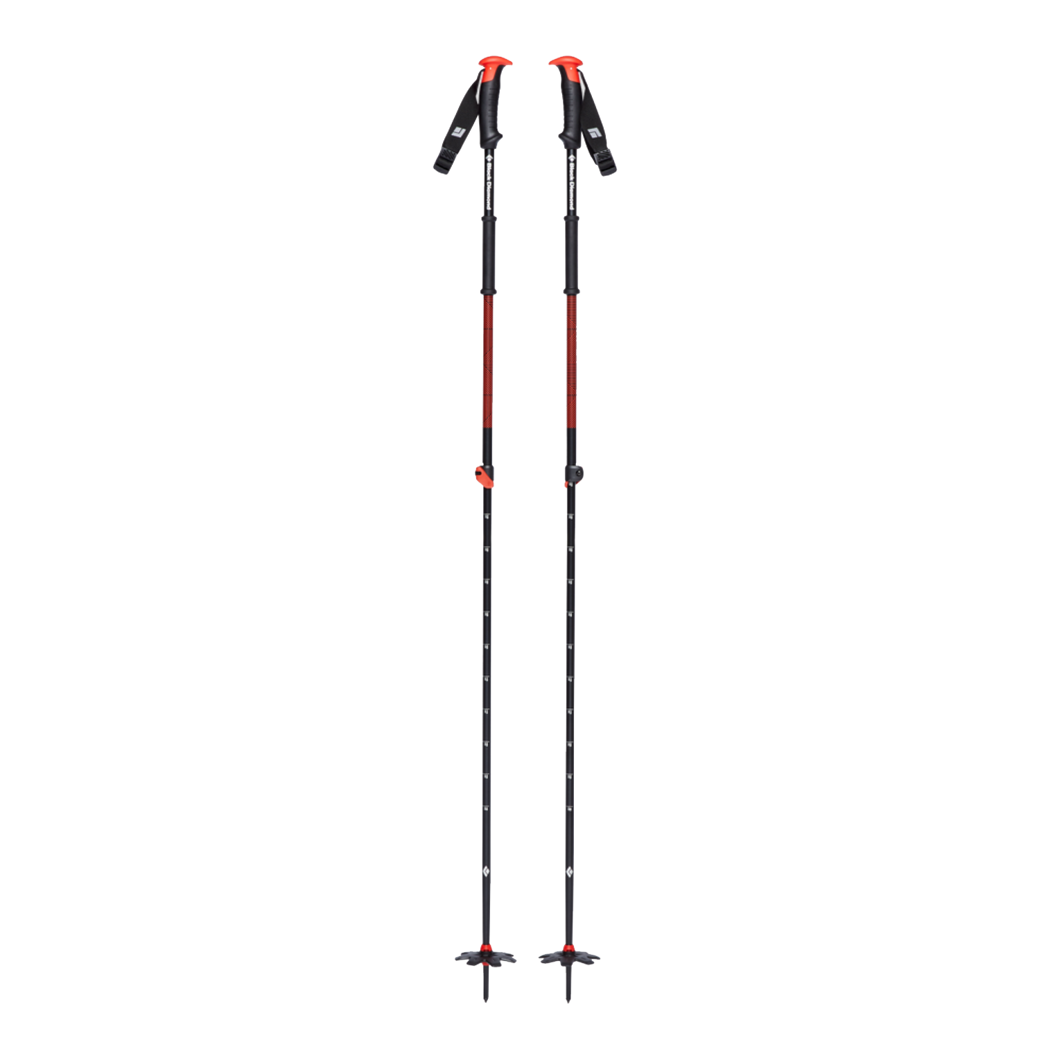 Traverse Ski Poles